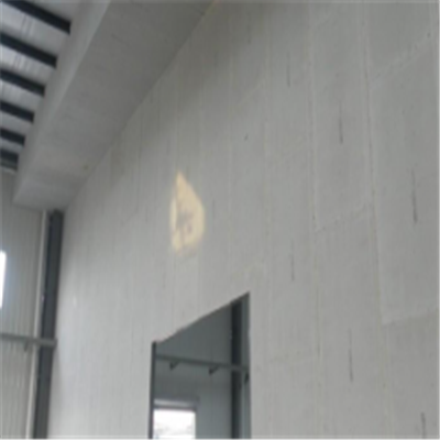 河津新型建筑材料掺多种工业废渣的ALC|ACC|FPS模块板材轻质隔墙板